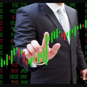 Indian Equities